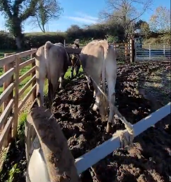 Jambo & Jagannath working with the new capstan