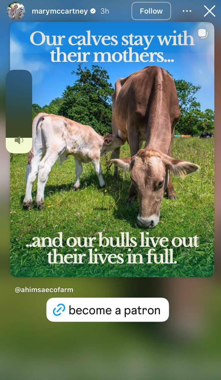 mary-mccartney-insta-post-1